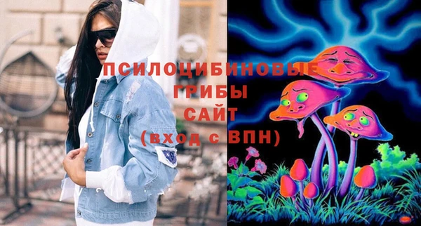 гидра Алзамай