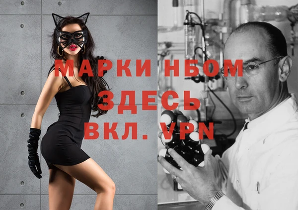 прущие грибы Алексин