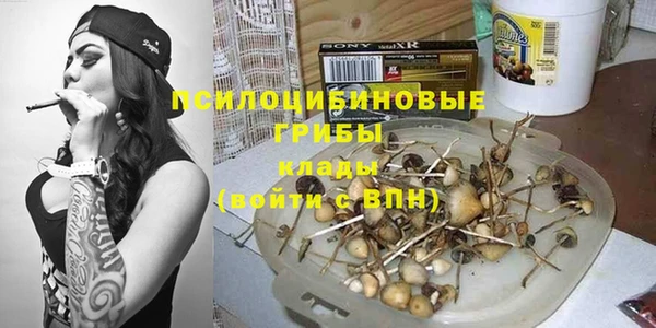 гидра Алзамай