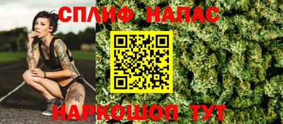 амф Дубна