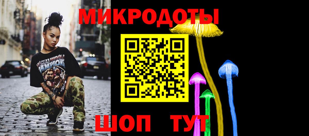 Курчалой  Псилоцибиновые грибы Psilocybe  Вход с VPN  Псилоцибиновые грибы мицелий 