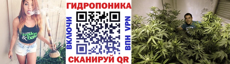 Шишки марихуана SATIVA & INDICA  Курчалой 